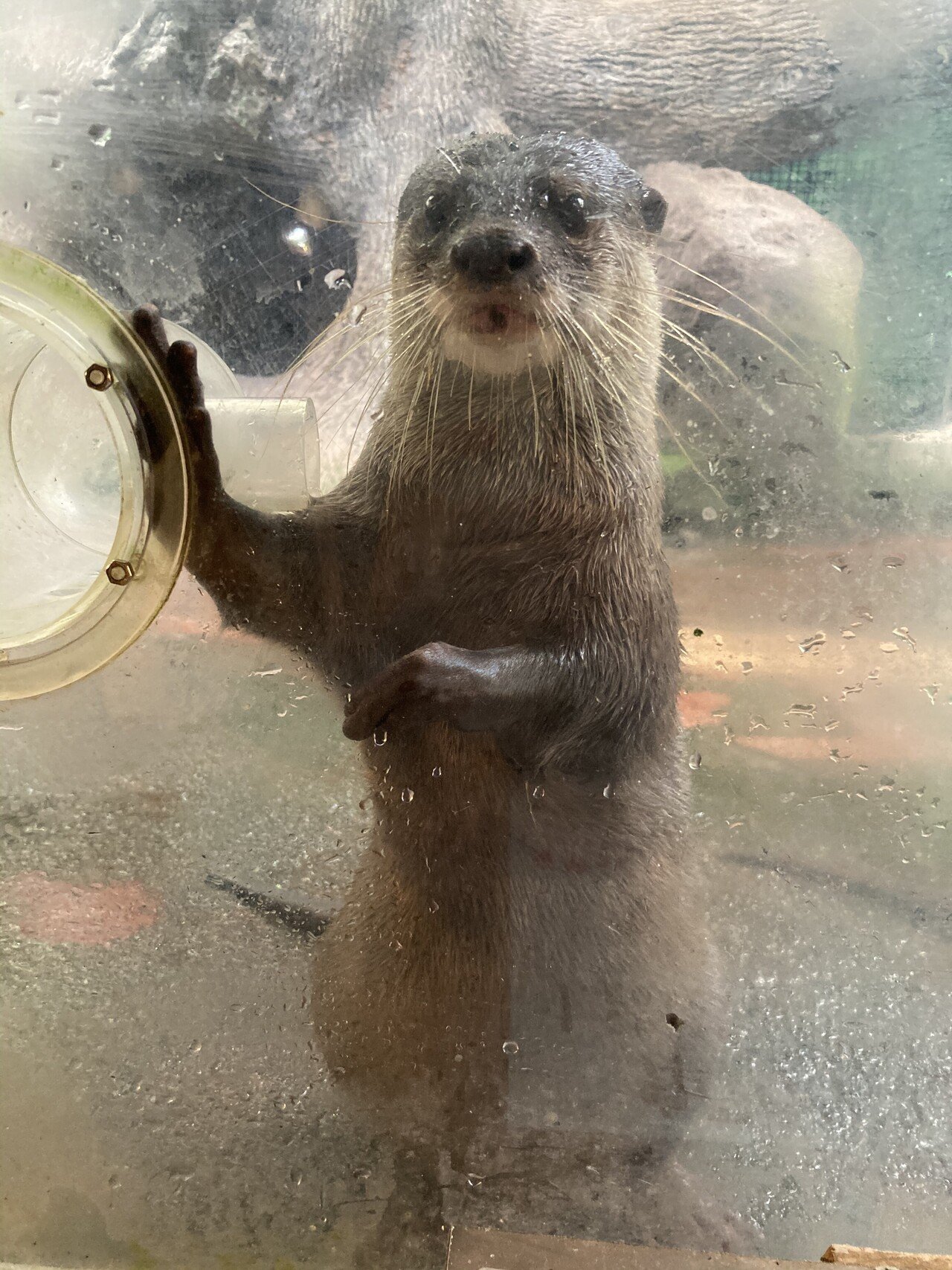 京急油壺マリンパーク閉館 梶本卓哉 公認会計士 Note