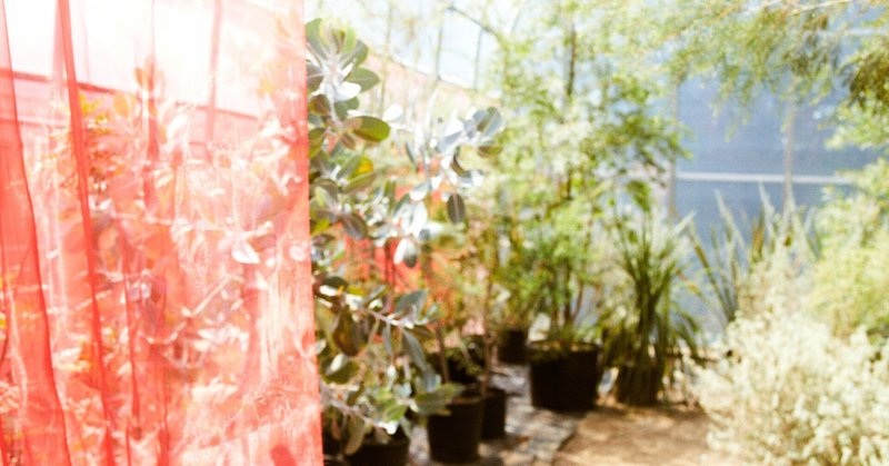 水やり ってなんぞや ヒロキの植木屋九葉 Note