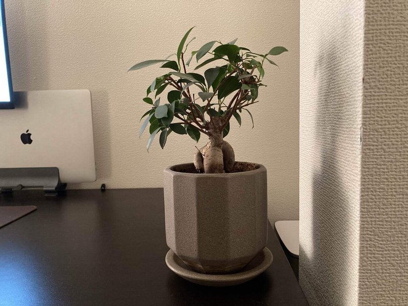 デスクの上に植物があると幸福度が上がる Kak San ｽﾏｰﾄﾎｰﾑｽﾍﾟｼｬﾘｽﾄ 在宅365日 Note