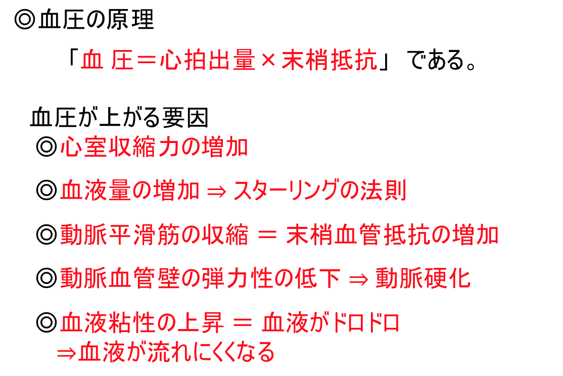 スクリーンショット 2021-05-12 22.51.59