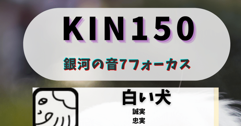 KIN150 黒キン