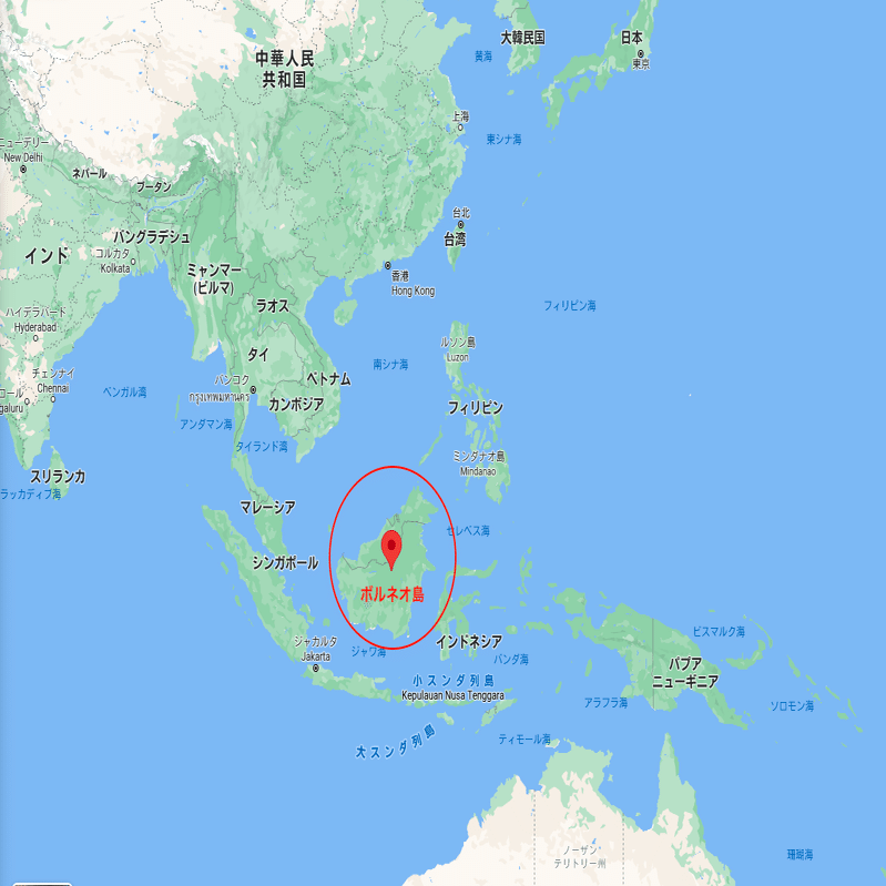 ボルネオ島の熱帯林と日本とのつながり 株式会社エスエイチユー Note