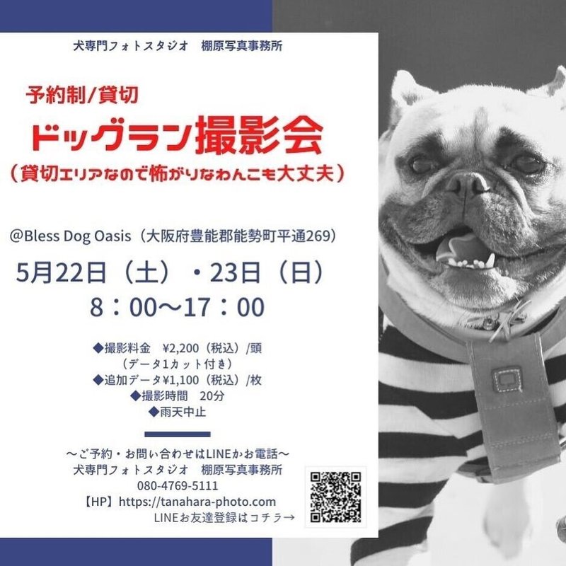 貸切ドッグラン撮影会 大阪 Bless Dog Oasis ブレスドッグオアシス 棚原写真事務所 Note