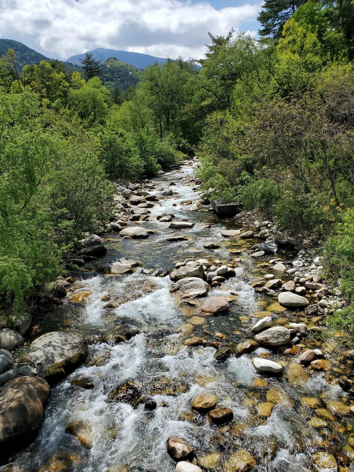画像8