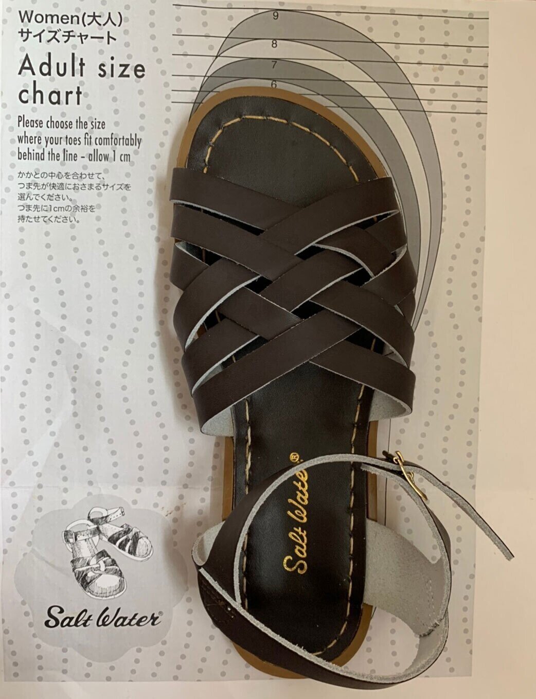 Salt Water Sandals ソルトウォーターサンダル Shark Latte