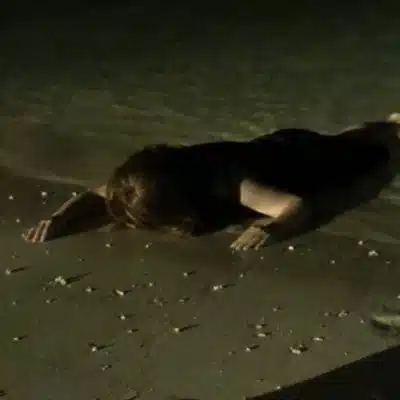 フジコ