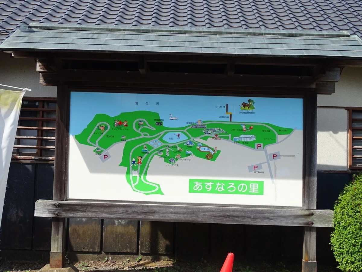 画像1
