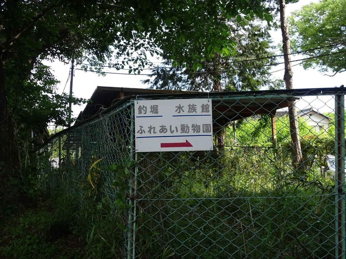 画像8