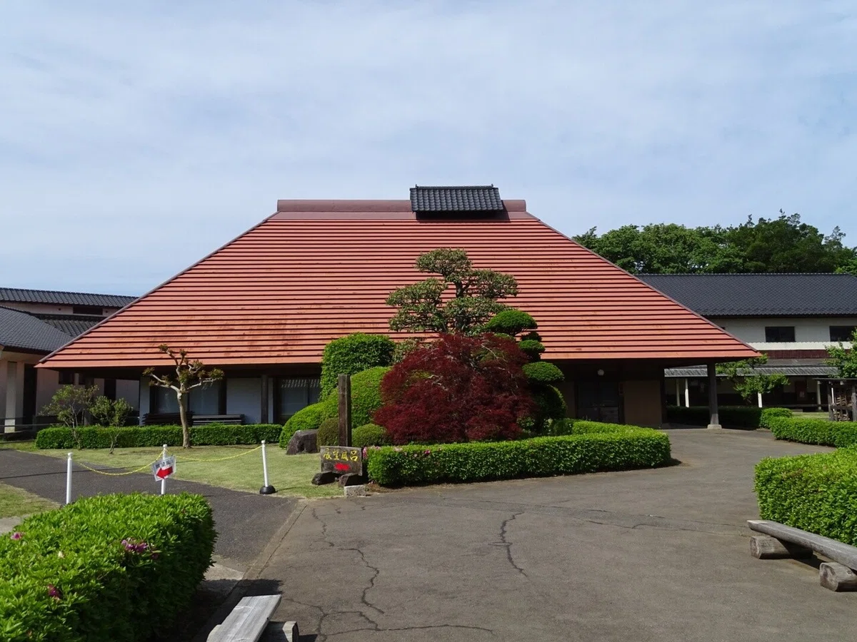 画像5