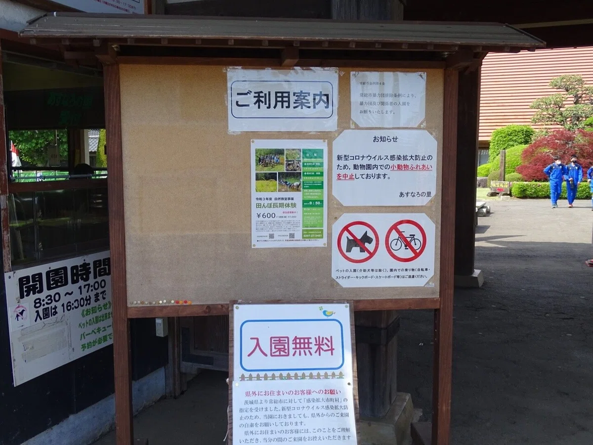 画像9