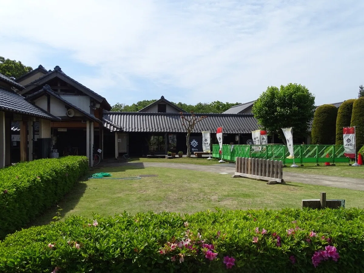 画像4