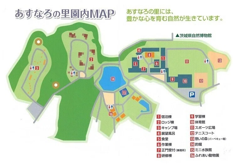 画像10