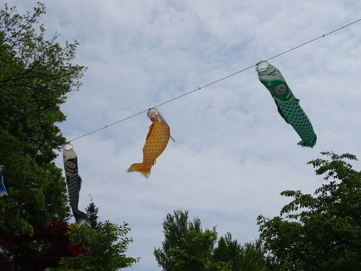 画像11