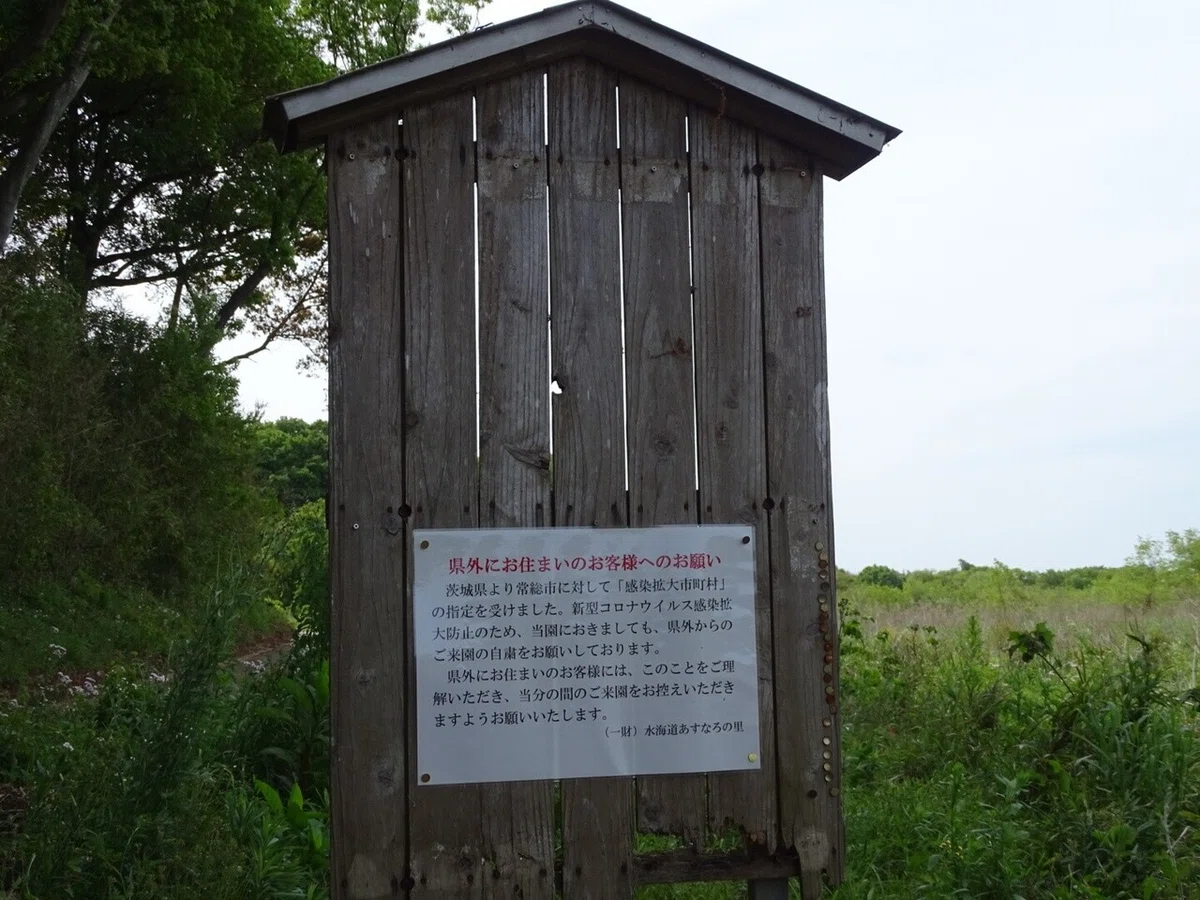 画像12