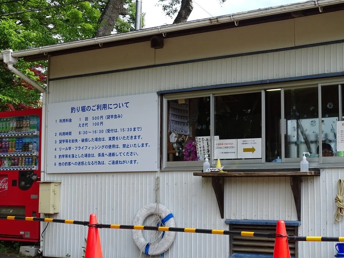 画像14