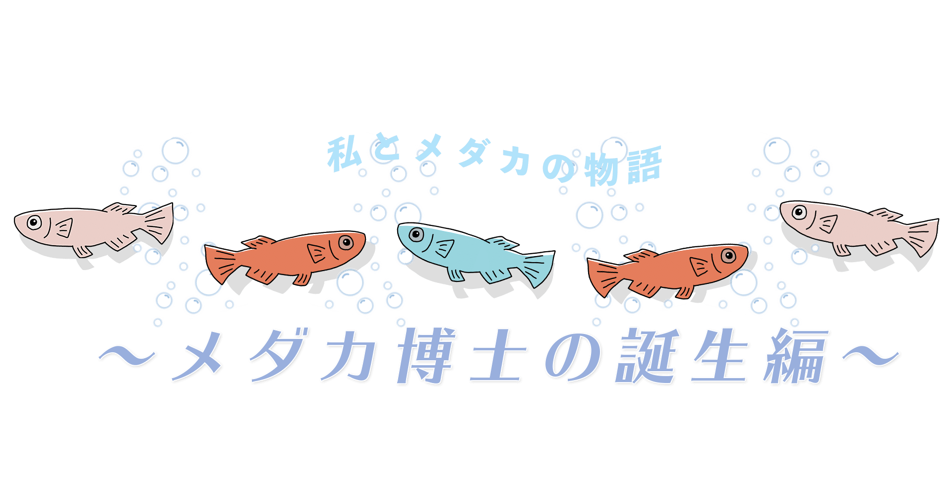 メダカ博士の誕生 メダカの飼育員 Note