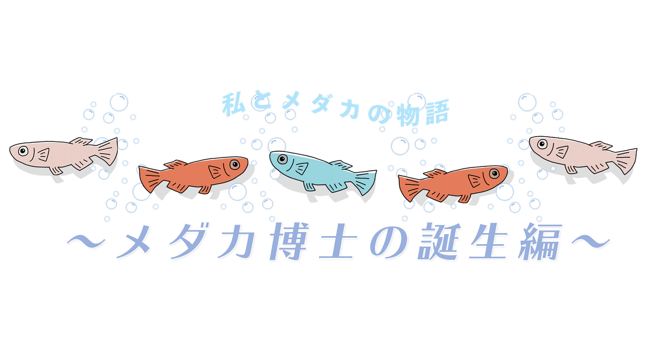 メダカ博士の誕生 メダカの飼育員 Note