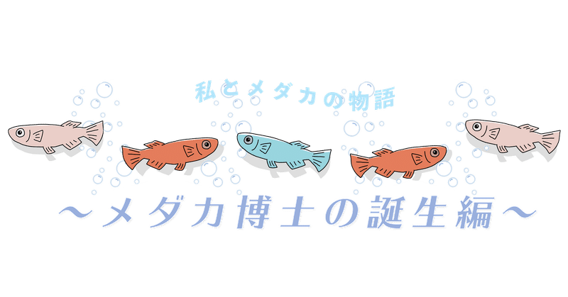 メダカ博士の誕生 メダカの飼育員 Note
