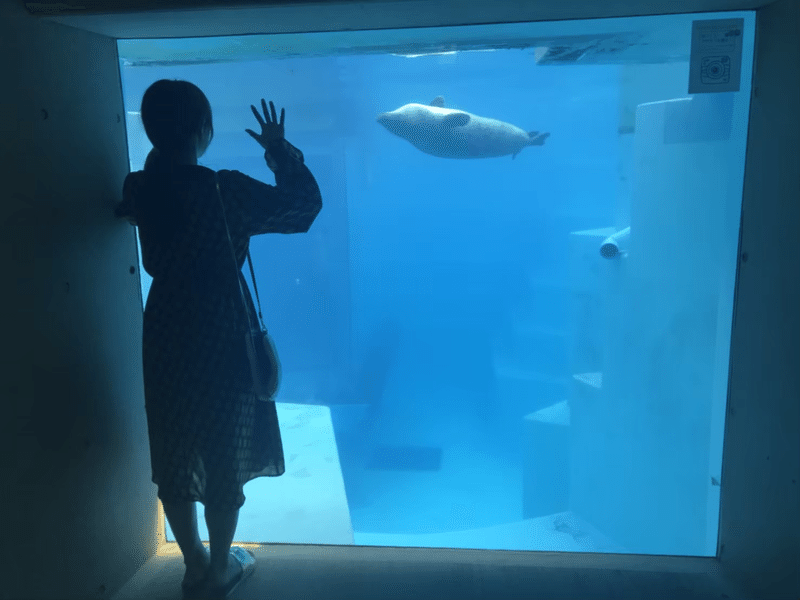 しあわせは歩いてこないってめっちゃいい歌詞 豊永 実紀 Note