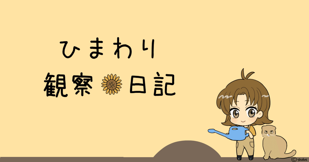 ひまわり観察日記 バレンタイン Shabe Note ひまわり観察日記 バレンタイン Shabe Note