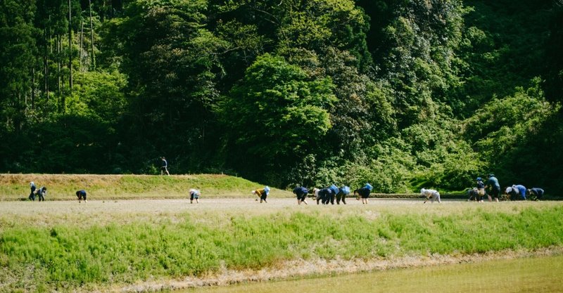 やわやわ、すすむ。ー田んぼ「月日と」始めましたー