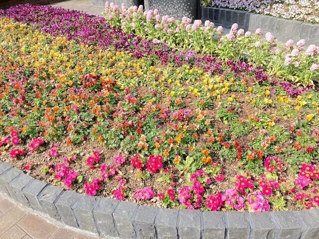 花 ハーブ あい
