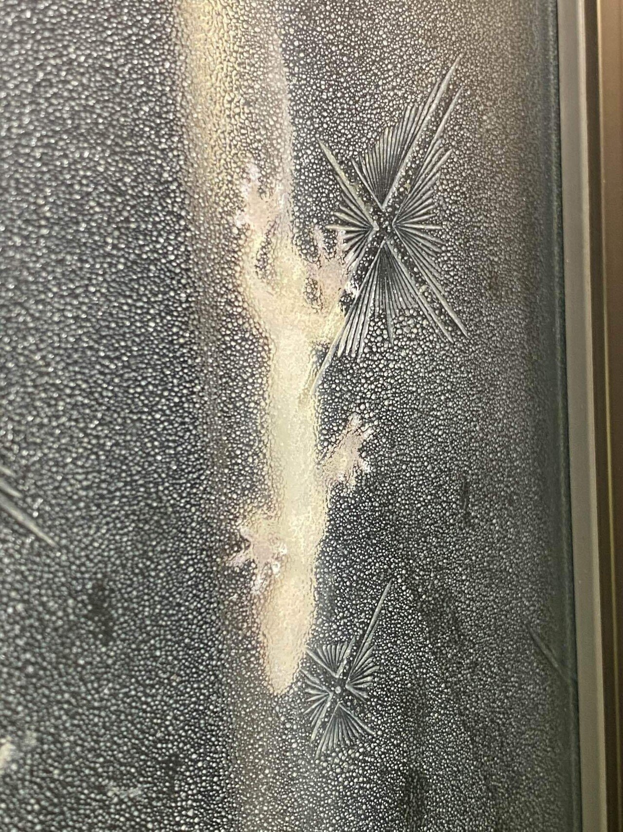 今日の家守り ヤモリ 21 05 13 Mmmatomm Note