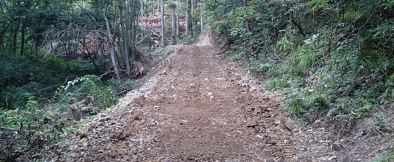 自伐型林業と山主