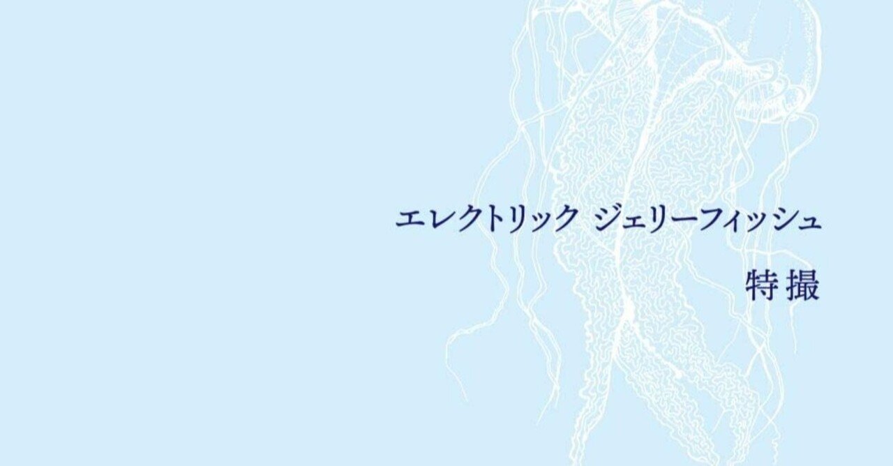 rectangle_large_type_2_bbea1cf