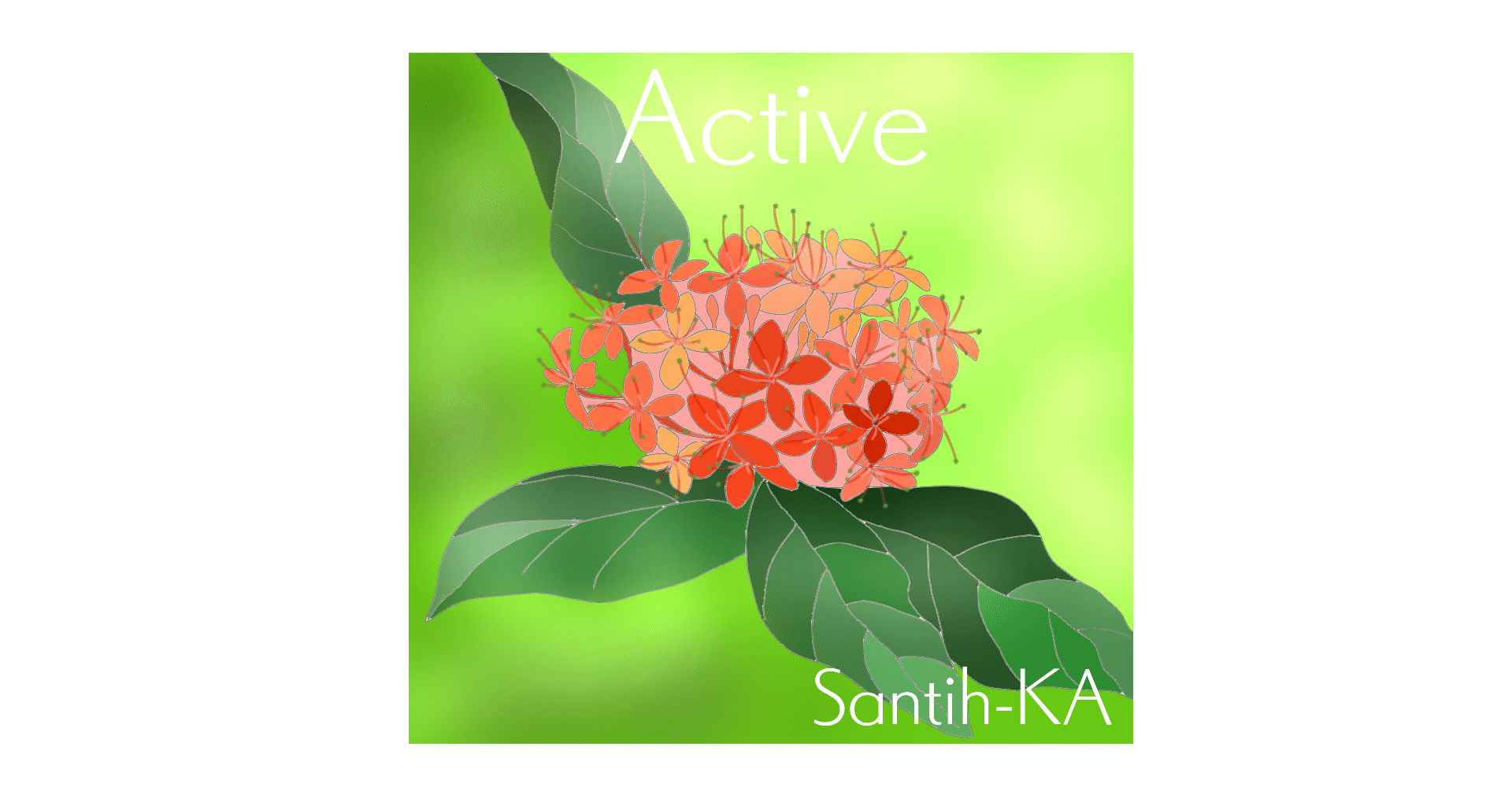 アショカ 無憂樹 Santih Ka Note アショカ 無憂樹 Santih Ka Note
