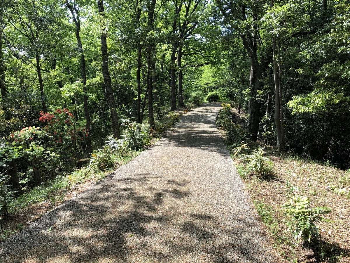 画像6