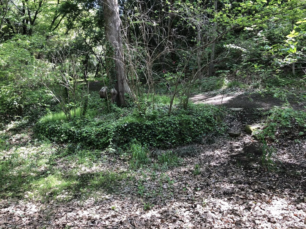 画像9