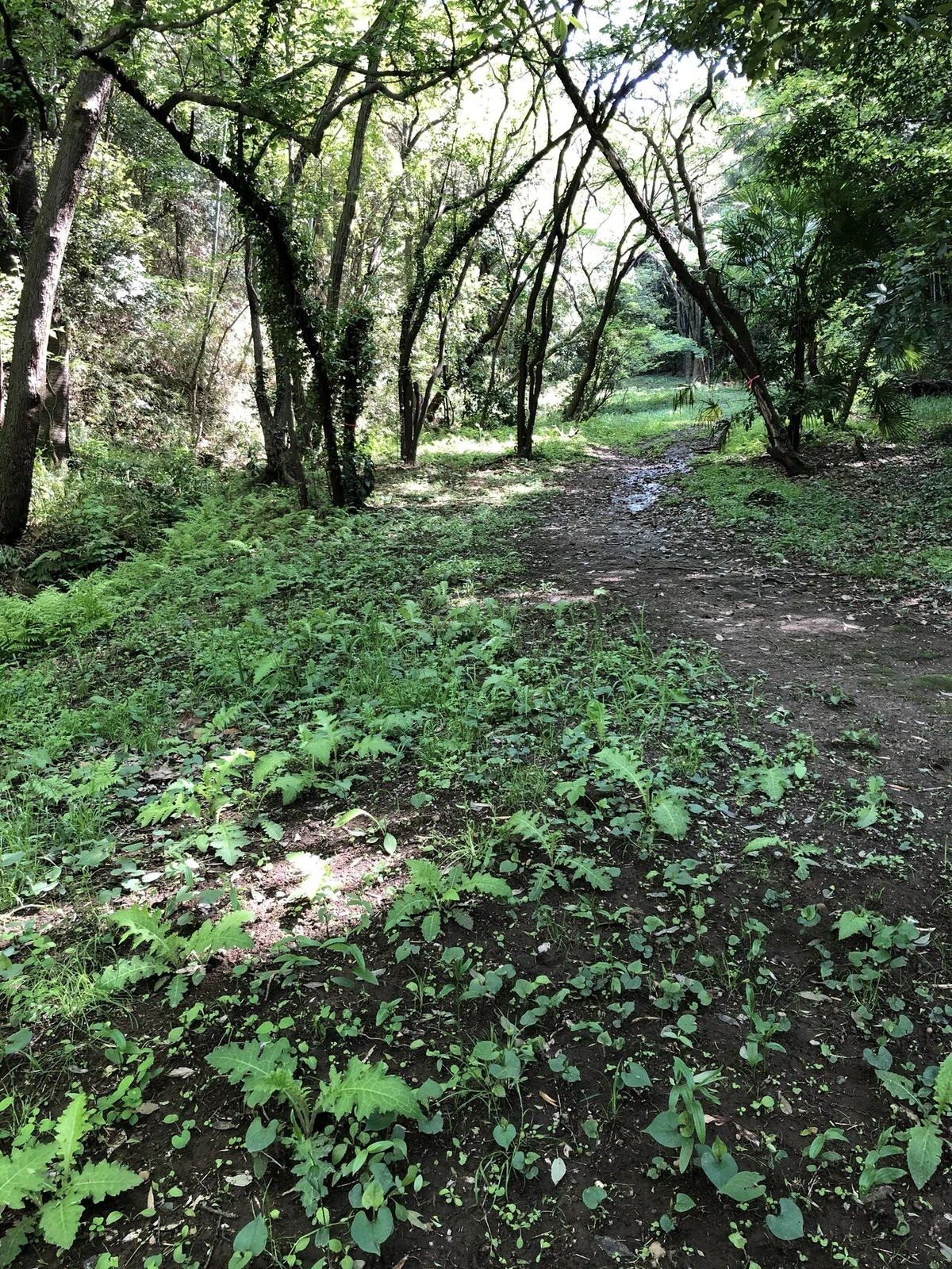 画像10
