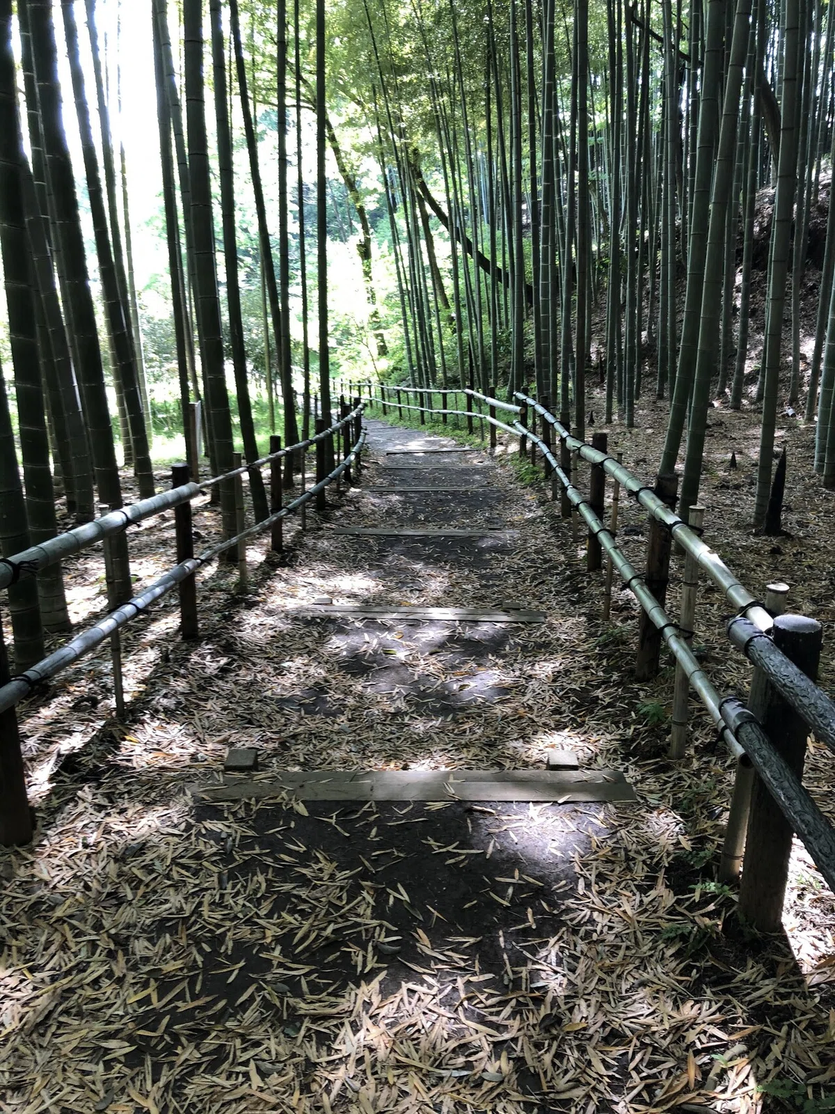 画像12