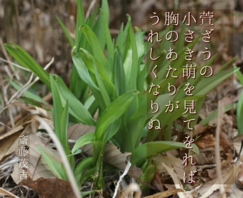 アスチルベ Green Calendar By Note