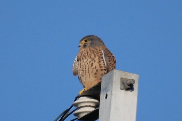 美原nhk の新着タグ記事一覧 Note つくる つながる とどける