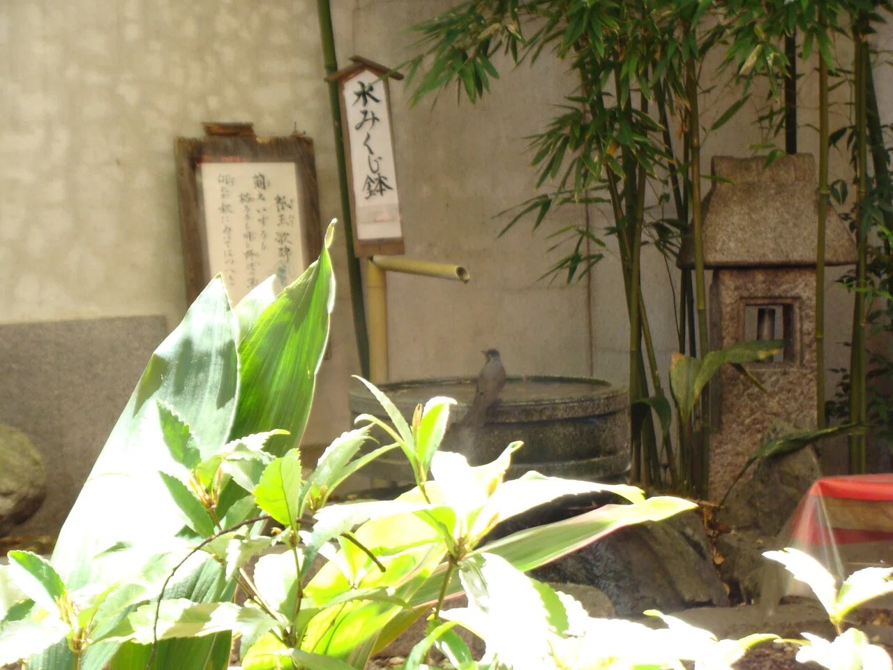 画像3