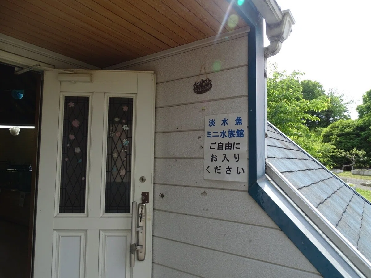 画像18