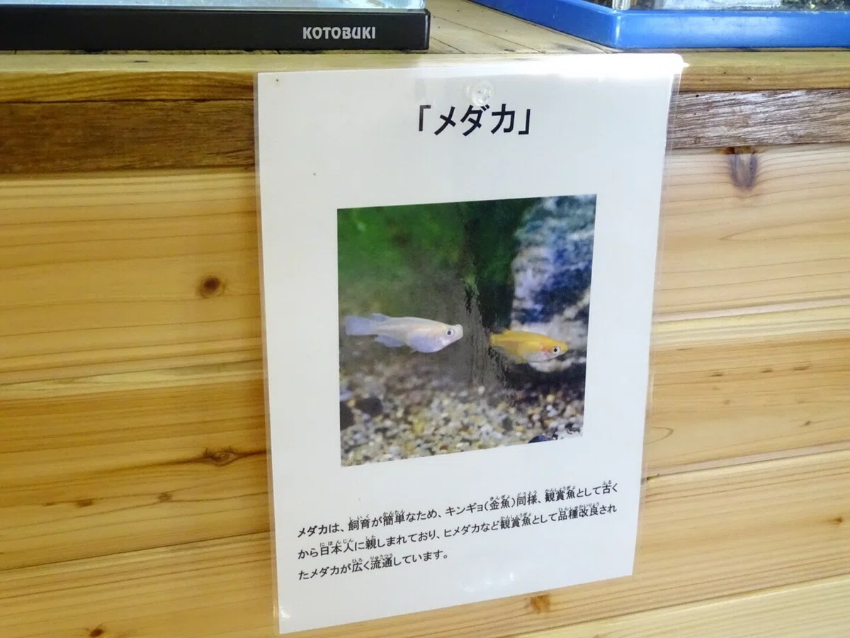 画像22