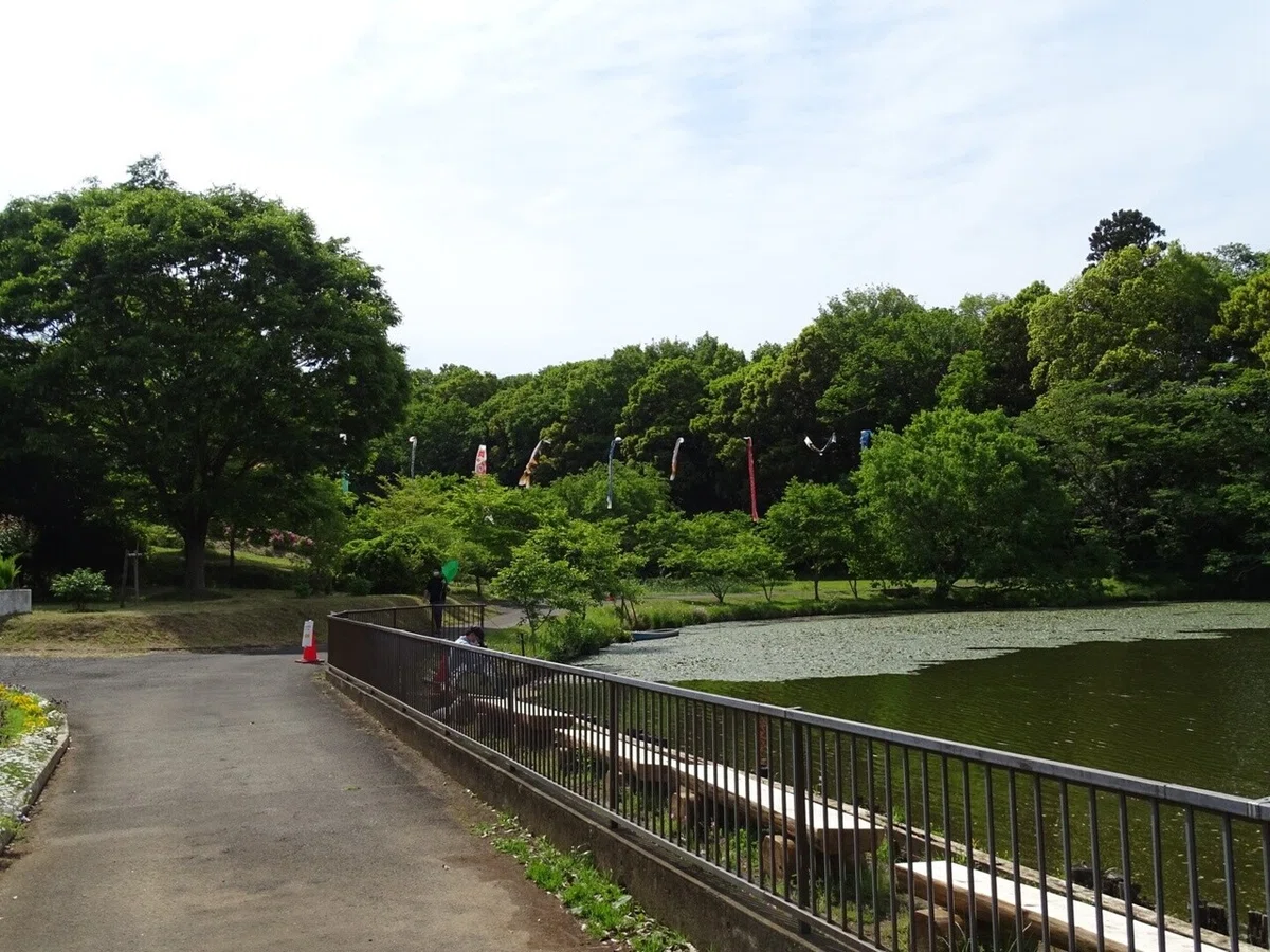 画像37