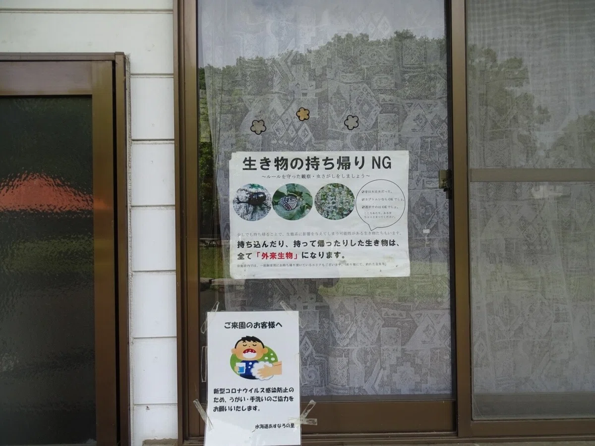画像41