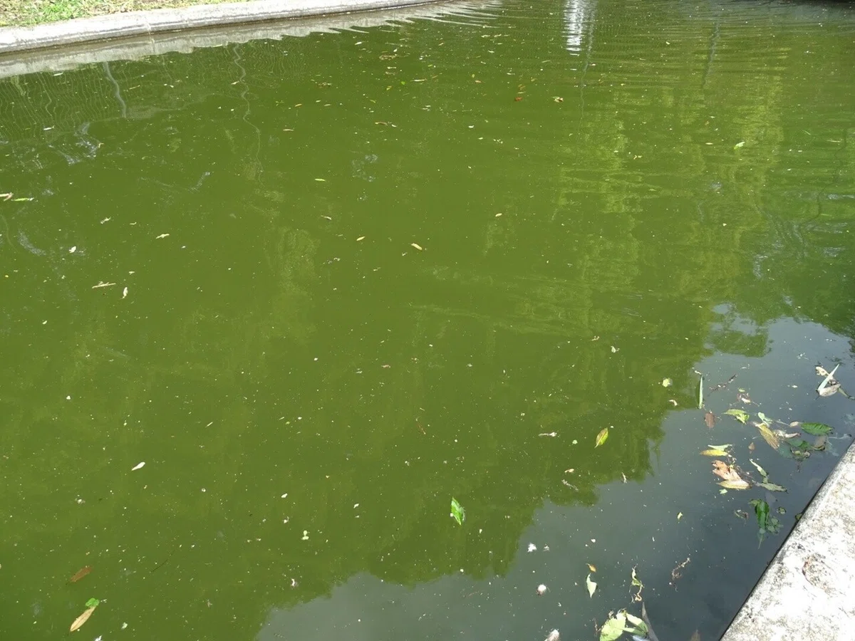 画像48