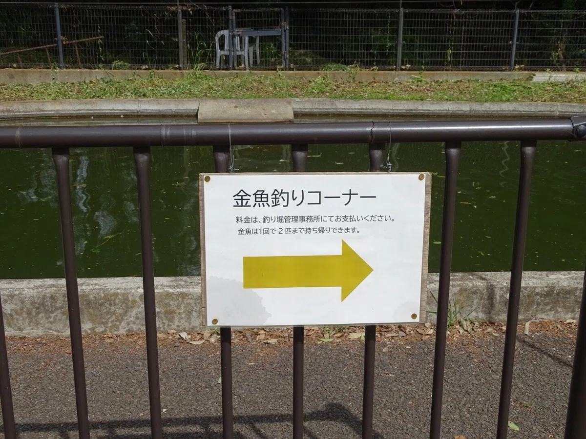 画像49