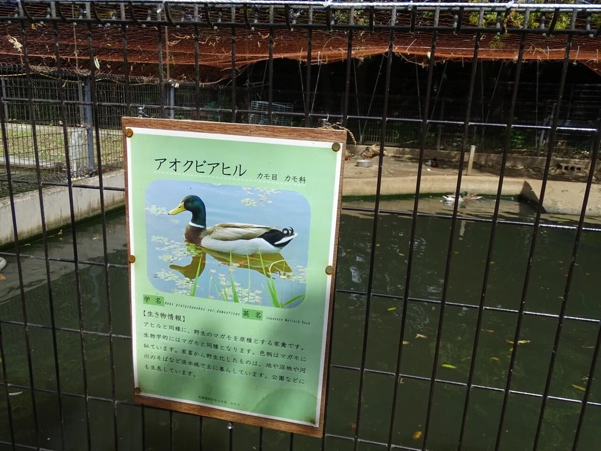 画像52