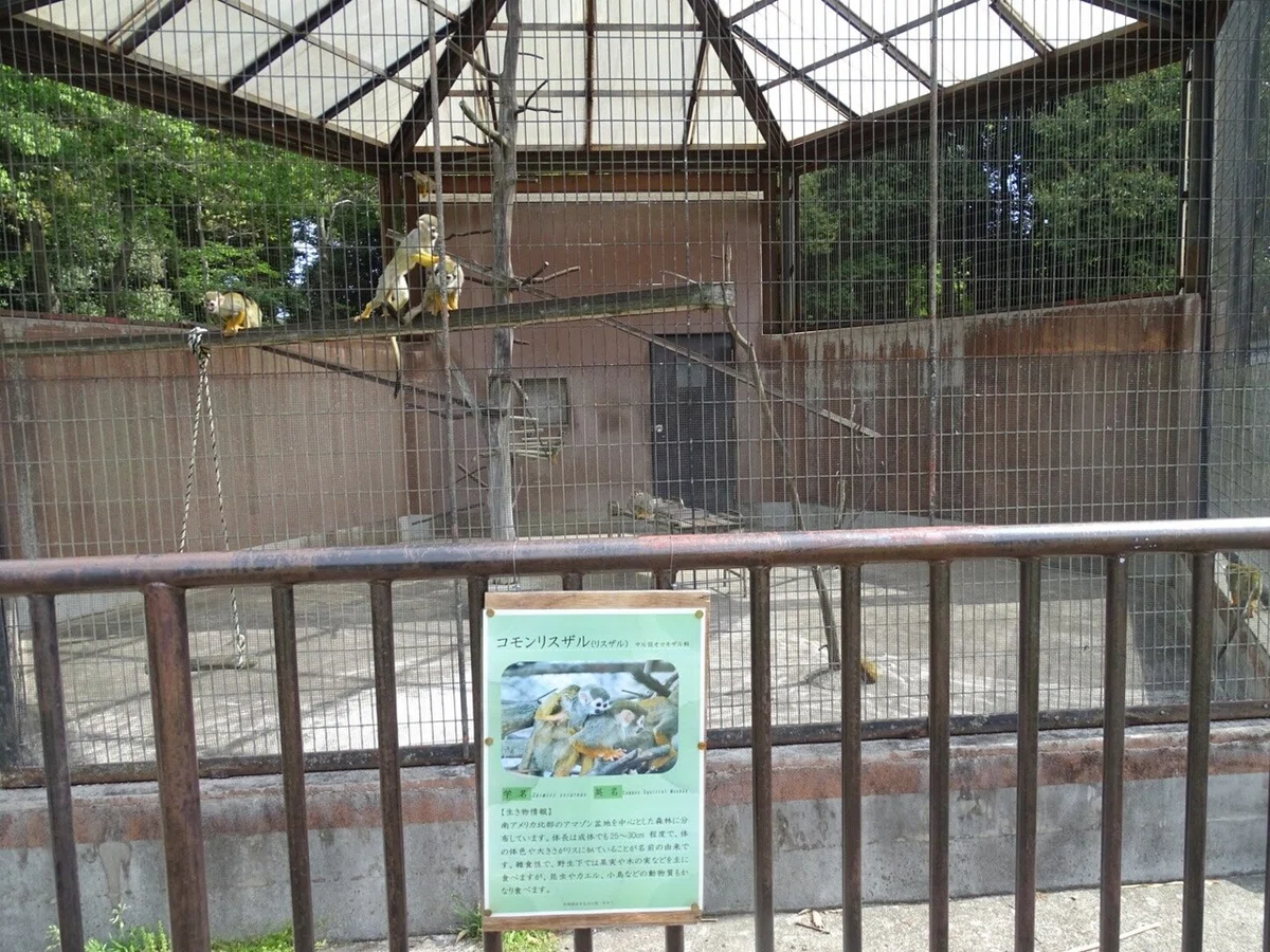 画像55