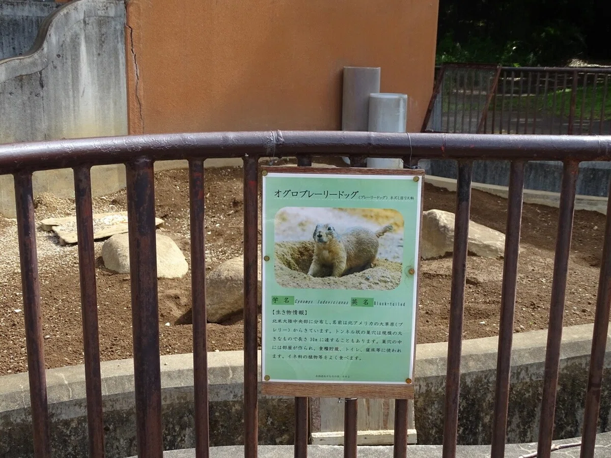 画像60