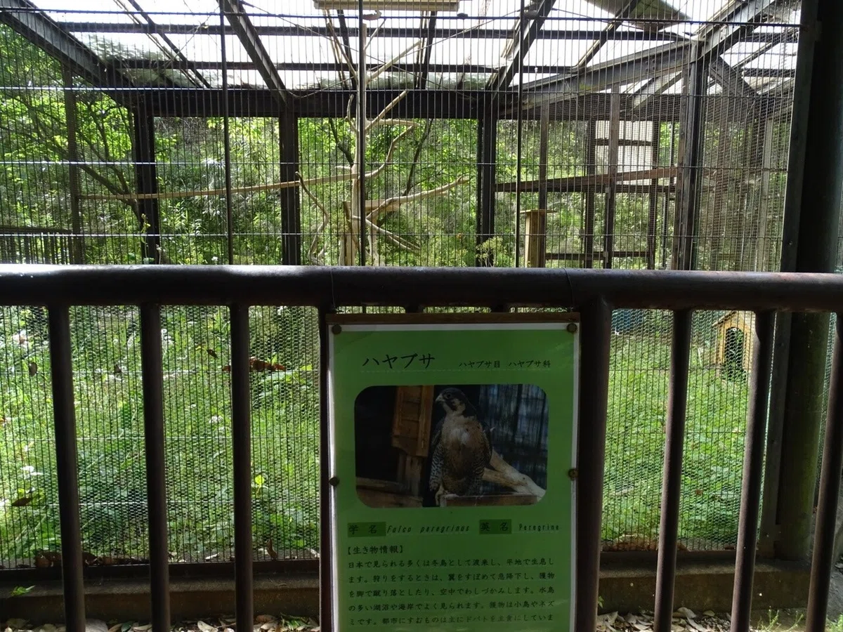 画像63