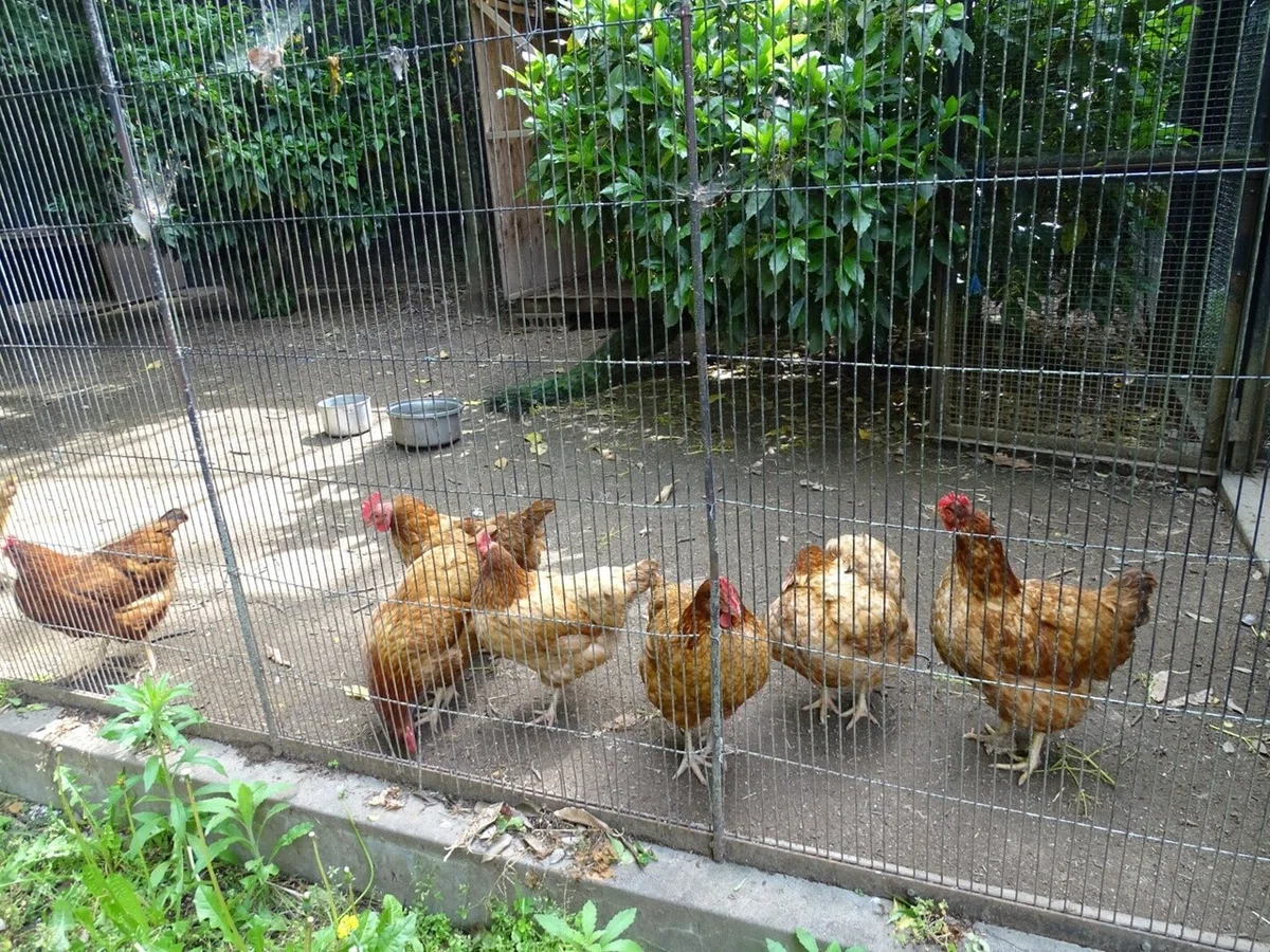 画像66