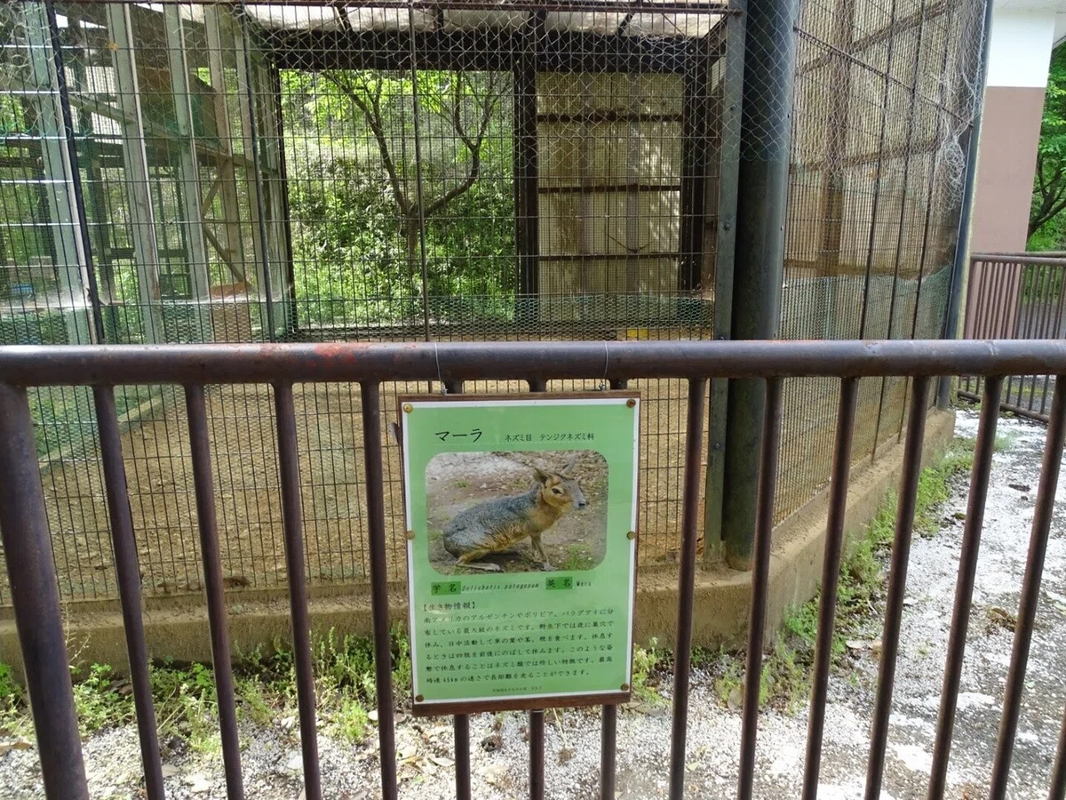 画像68