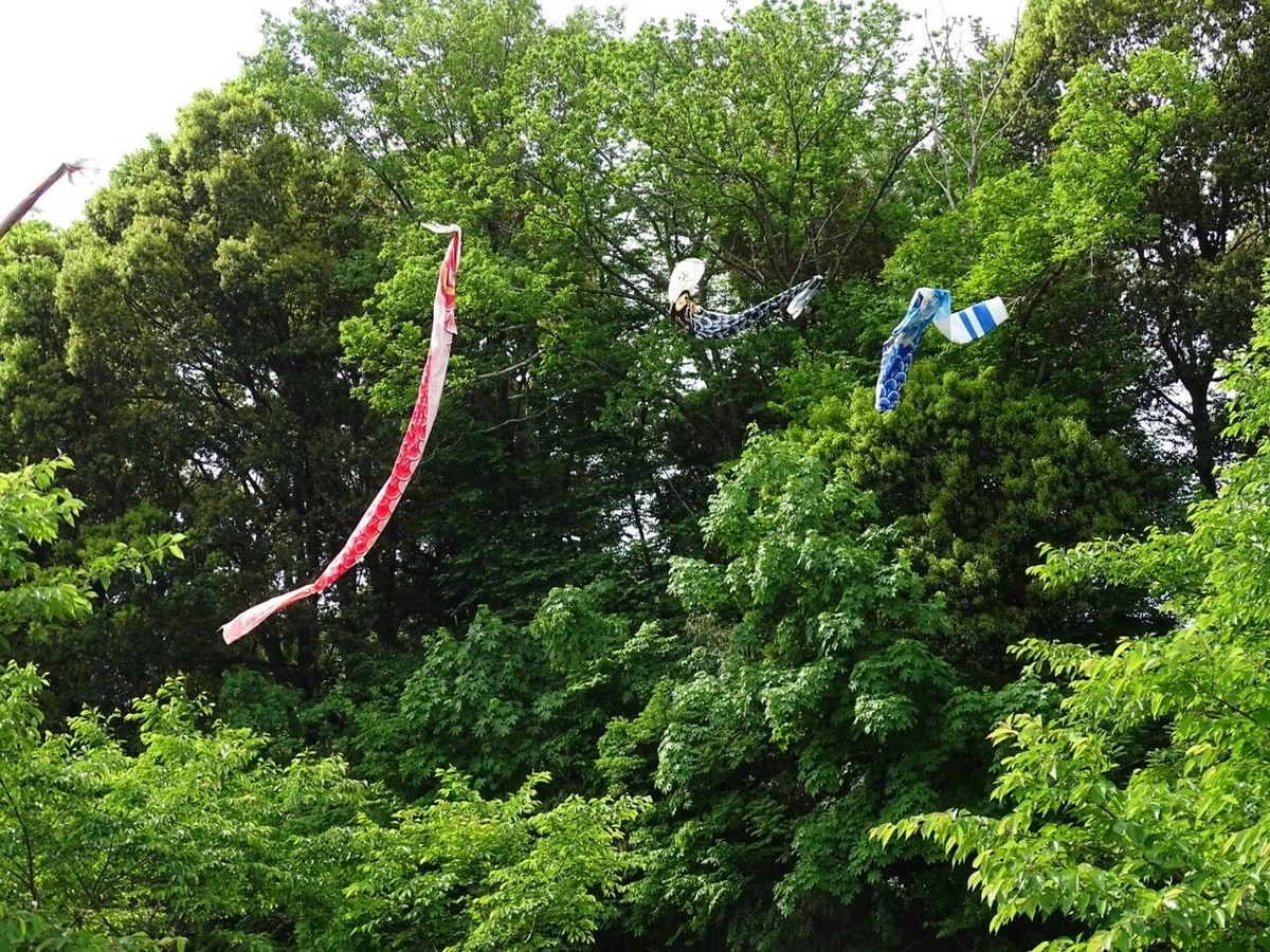 画像72